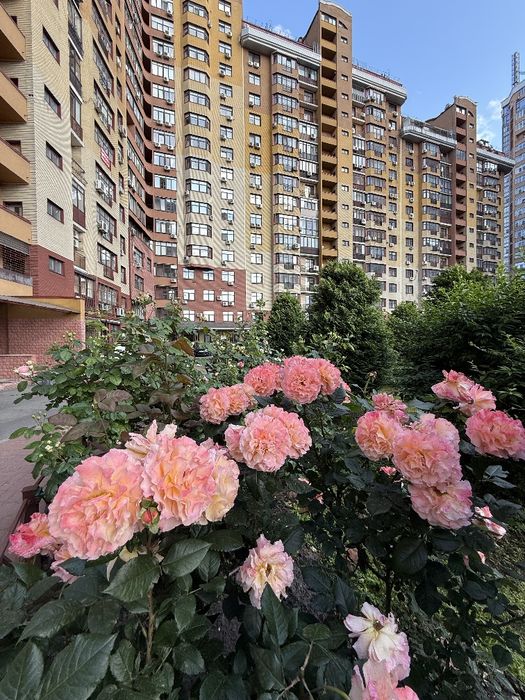 Квартира на вул. Євгена Коновальця, 32 Б в Києві, ID 259792, фото №13