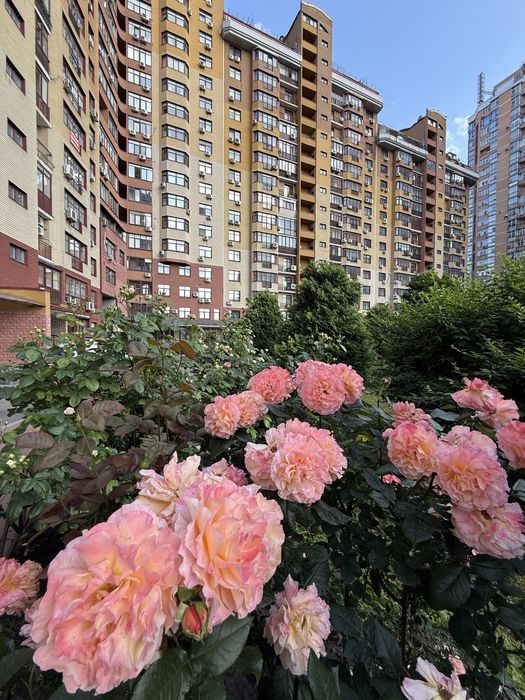 Квартира на вул. Євгена Коновальця, 32б в Києві, ID 176568, фото №7