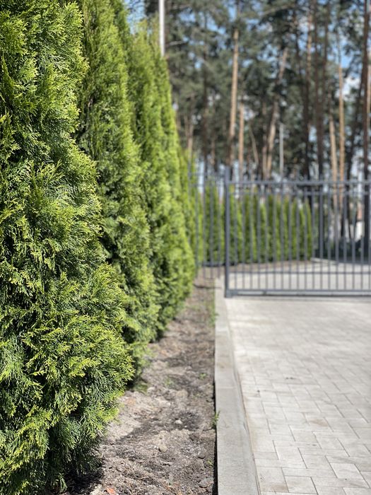 Квартира на ЖК Центральний-2 в Києві, ID 220981, фото №3