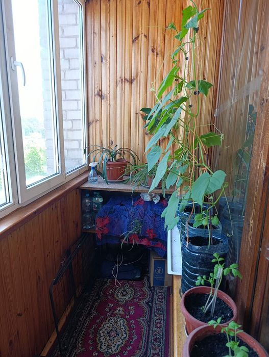 Квартира на бул. Центральний, 27 в Запоріжжі, ID 166324, фото №9