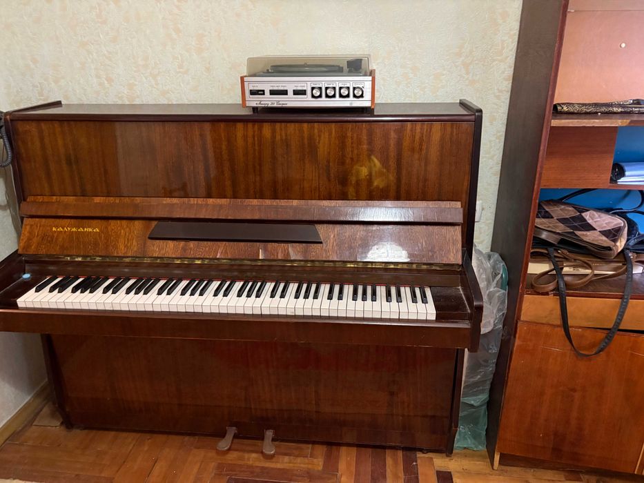 Квартира на вул. Кияшка, 9 в Запоріжжі, ID 173111, фото №14