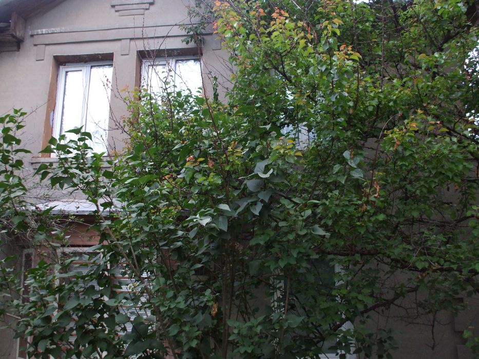 Квартира на шосе Салтовське, 65а в Харкові, ID 200559, фото №6