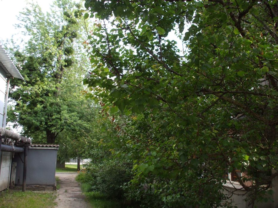 Квартира на шосе Салтовське, 65а в Харкові, ID 200559, фото №7