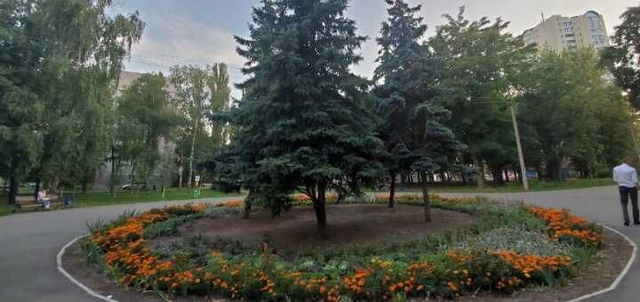 Квартира на вул. С. Стешенків, 9 в Києві, ID 207066, фото №10