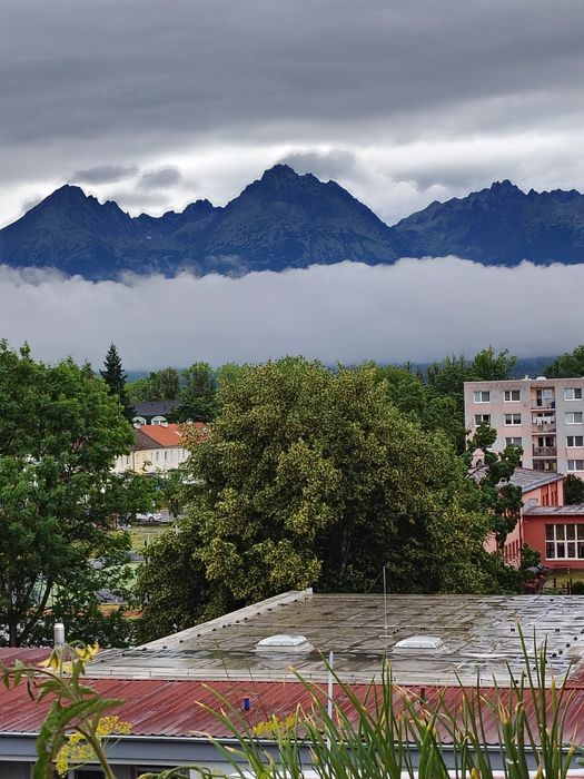 Квартира на Печерський в Києві, ID 253863, фото №1