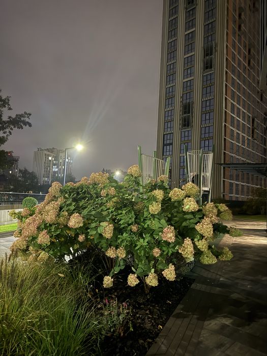 Квартира на вул. Пимоненка, 19 в Києві, ID 182246, фото №22