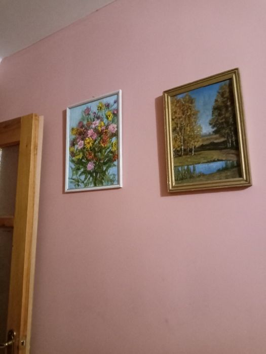 Квартира на вул. Чумаченко в Запоріжжі, ID 277225, фото №2