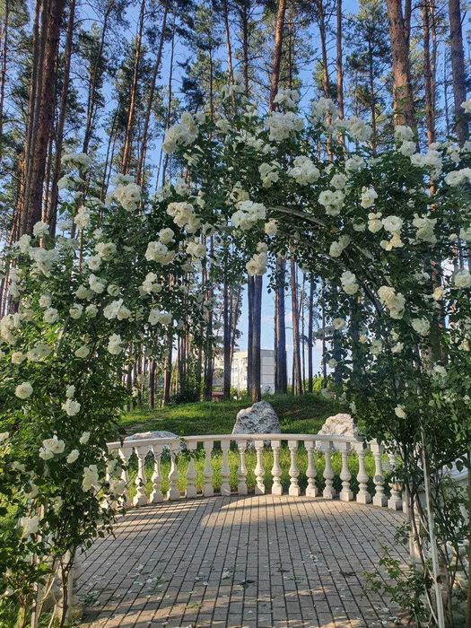 Квартира на ЖК Sobornyi в Києві, ID 305341, фото №21