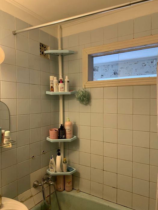 Квартира на вул. Набережно Хрещатицька, 11 в Києві, ID 170749, фото №11