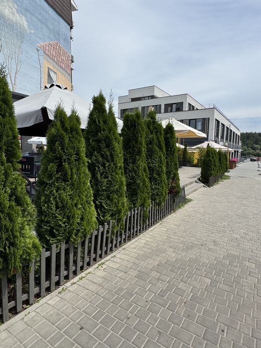 Квартира на вул. Стрілецька, 102 в Чернігові, ID 274723, фото №22