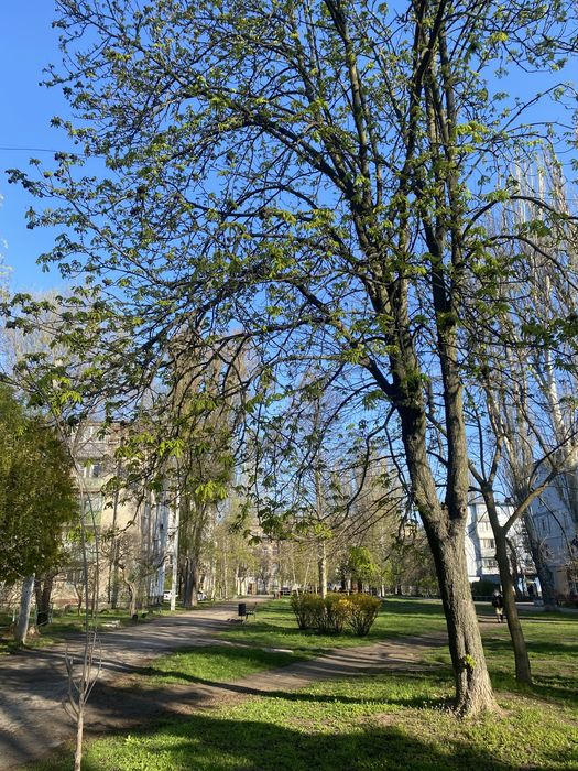 Квартира на Центр Правого берегу, Дніпровський район в Запоріжжі, ID 199026, фото №17