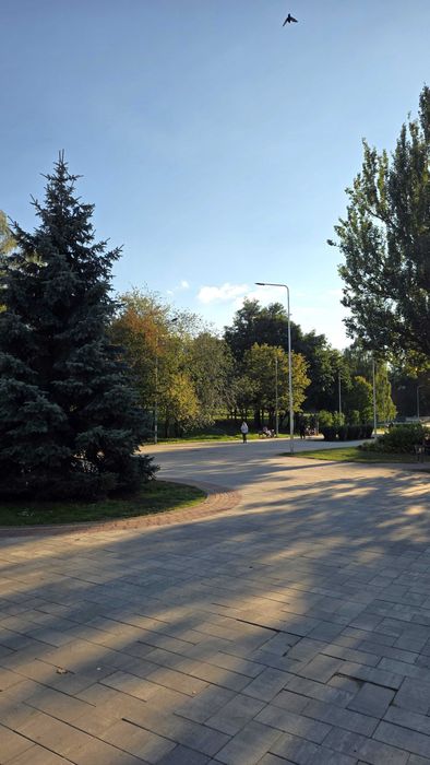 Квартира на вул. Гавела, 7 в Києві, ID 371991, фото №17