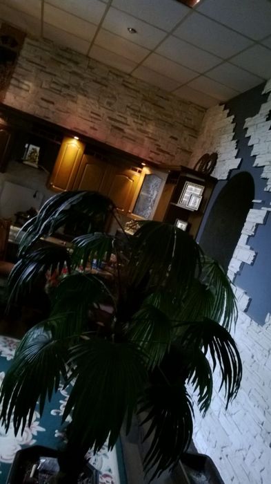 Квартира на вул. Шопена в Івано-Франківську, ID 181393, фото №5