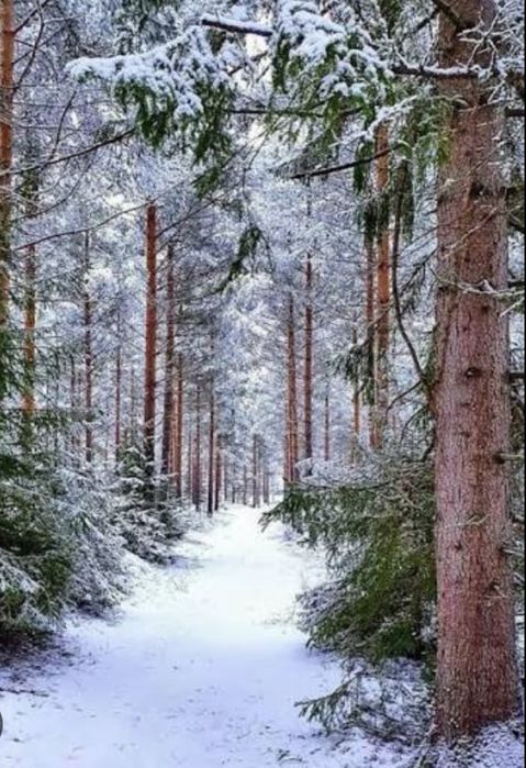 Квартира на ЖК Парк Таун в Києві, ID 307214, фото №23