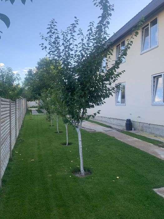 Квартира на вул. Дяченка в Києві, ID 164551, фото №20