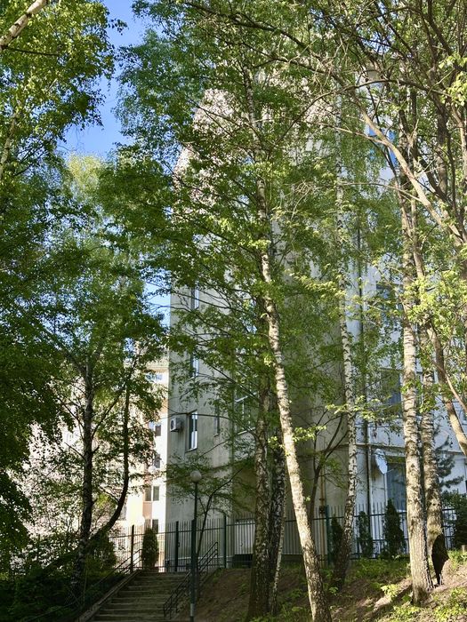 Квартира на вул. О. Олеся, 25д в Львові, ID 201356, фото №21