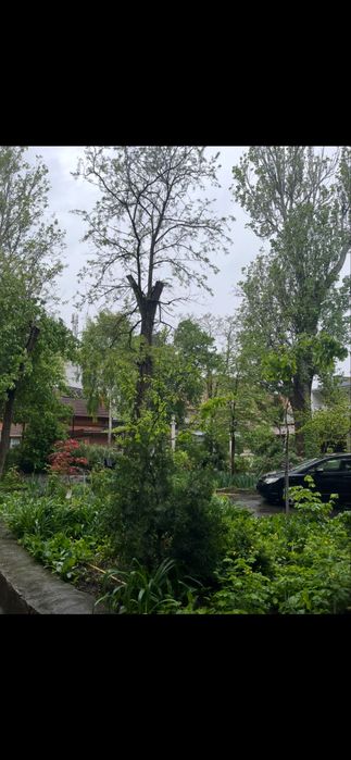 Квартира на вул. Садова в Одесі, ID 170824, фото №17