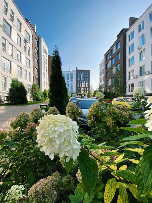 Квартира в Києві, ID 357786, фото №10