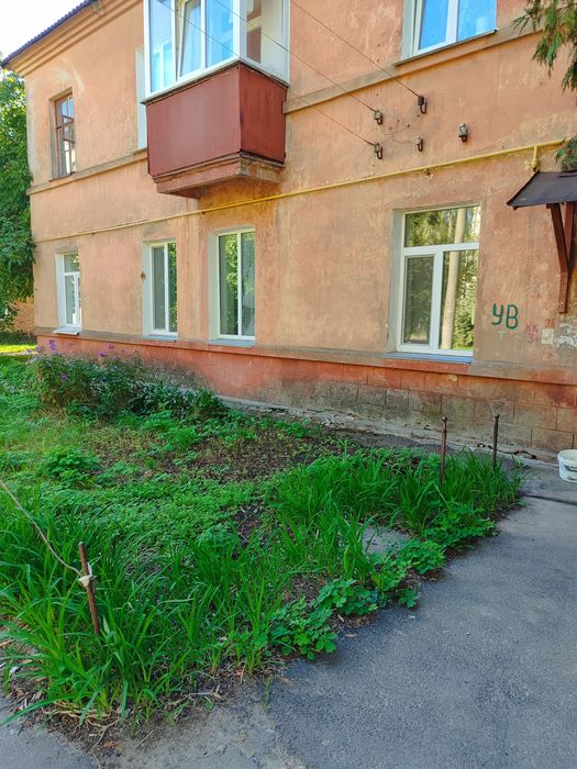 Орендувати квартиру в Чернігів на Findly.com.ua Квартира в Чернігів, ID 368275, фото №1