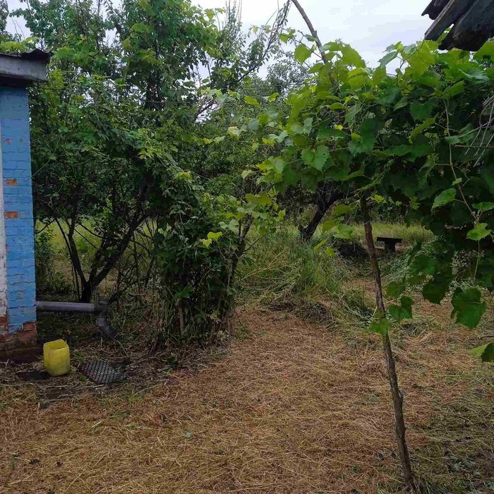 Будинок на Чернігівська область, Товкачівка, ID 415637, фото №3