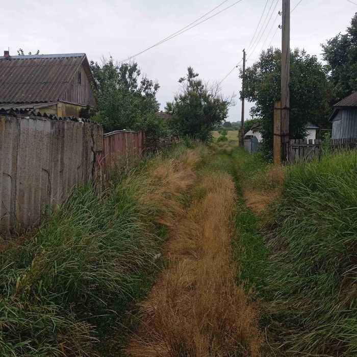 Будинок на Чернігівська область, Товкачівка, ID 415637, фото №5
