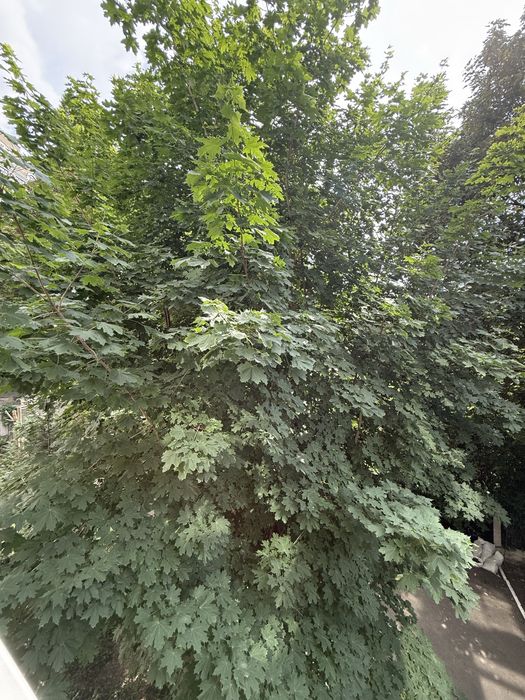 Квартира на вул. Ярославів Вал, 17 Б в Києві, ID 283946, фото №17