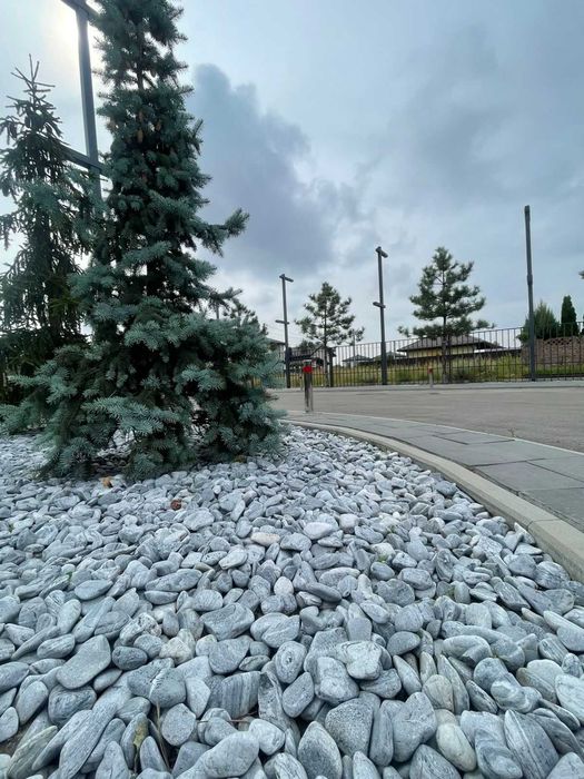 Квартира на біля метро Теремки в Києві, ID 312746, фото №9