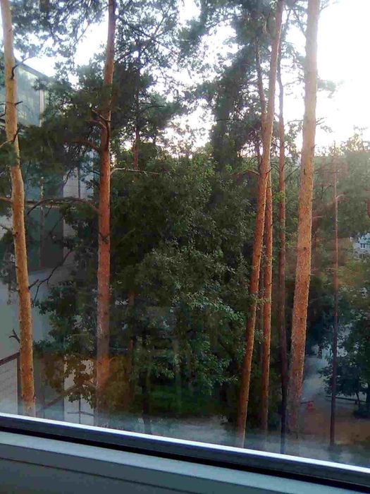 Квартира на вул. Пономарьова, 18а в Києві, ID 311816, фото №13