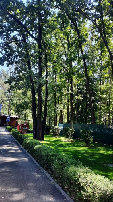Квартира на вул. Пономарьова, 18а в Києві, ID 311816, фото №21