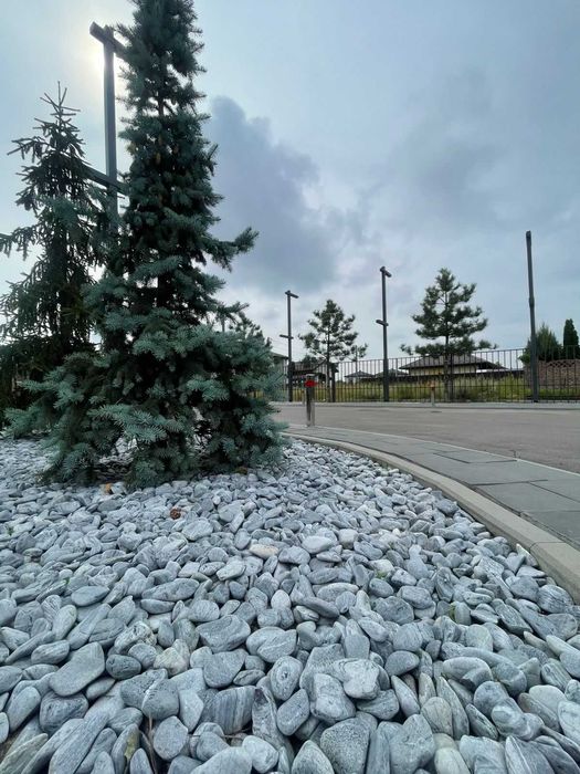 Квартира на біля метро Теремки в Києві, ID 312711, фото №8