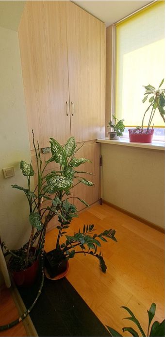 Квартира на Оболонський в Києві, ID 294175, фото №7