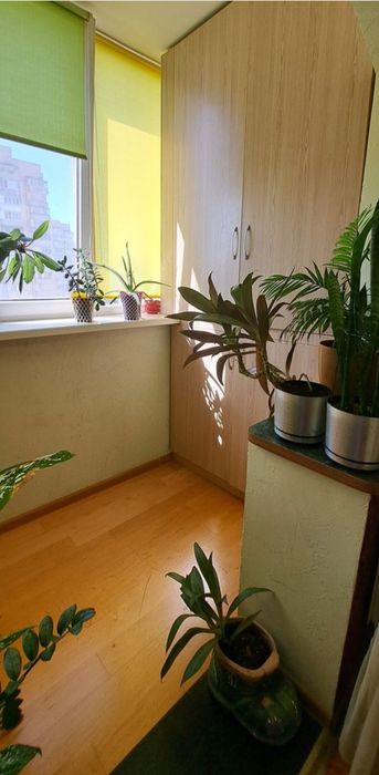 Квартира на Оболонський в Києві, ID 294175, фото №8