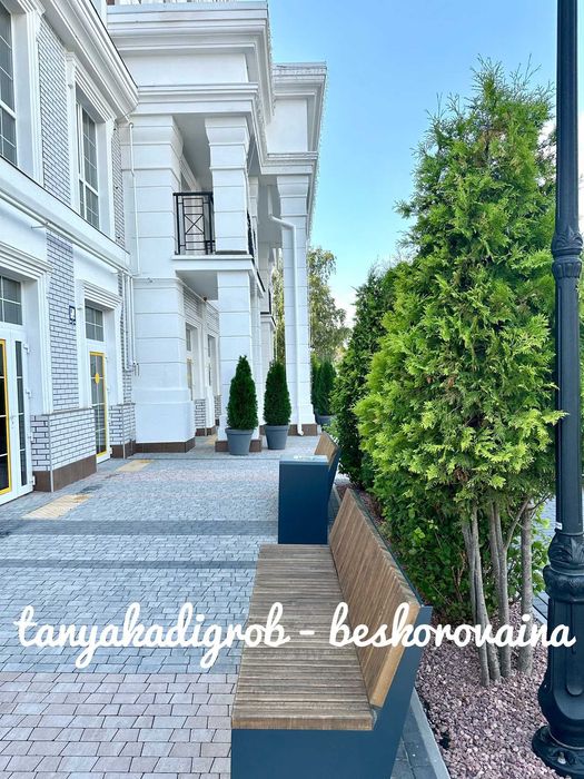 Квартира на вул. Паркова, 1 в Києві, ID 312128, фото №11