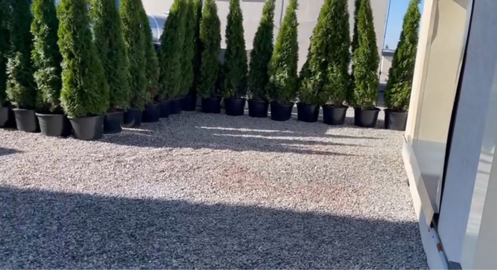 Квартира на вул. Бульварно-Кудрявська, 17а в Києві, ID 247715, фото №15