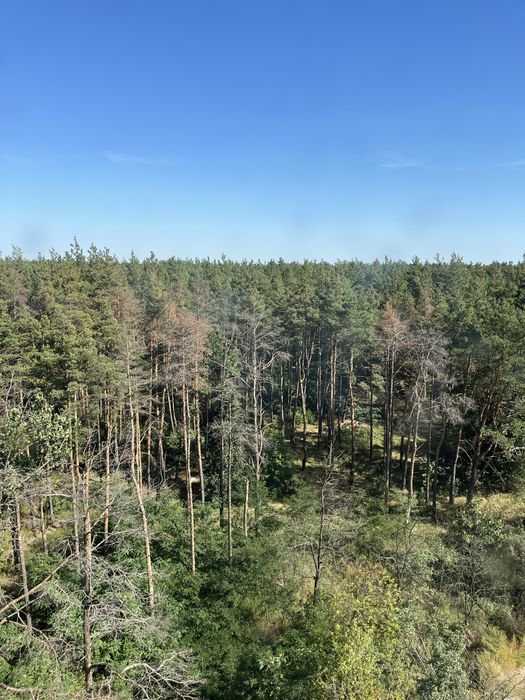 Квартира на жк «Східна Брама» в Києві, ID 203829, фото №12