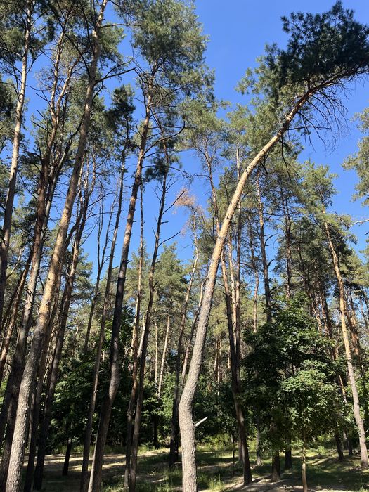 Квартира на жк «Східна Брама» в Києві, ID 203829, фото №20