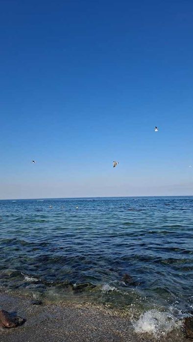 Квартира на вул. Довга, 1А в Одесі, ID 331703, фото №21
