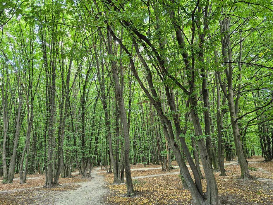 Квартира на вул. Януша Корчака, 64 в Києві, ID 374875, фото №7