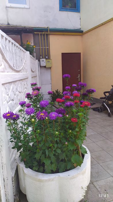 Квартира на вул. Промислова, 11 в Житомирі, ID 291130, фото №16