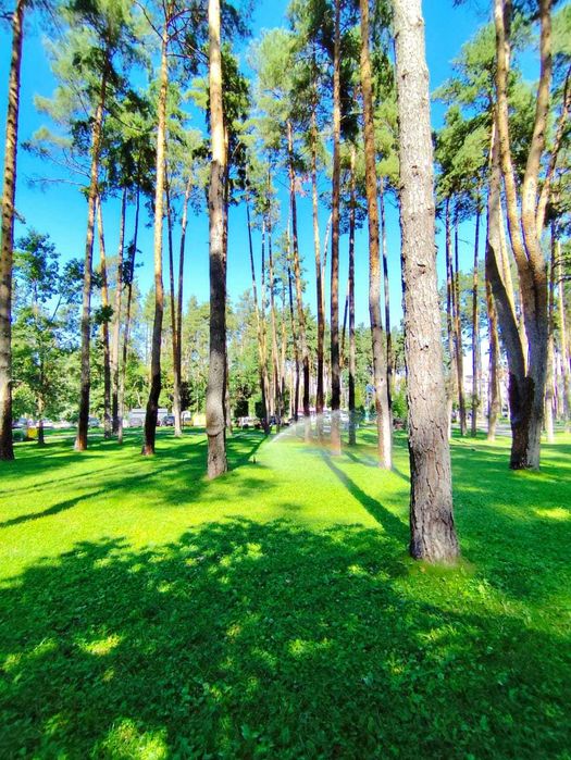 Квартира на ЖК Грін Лайф в Києві, ID 259707, фото №19