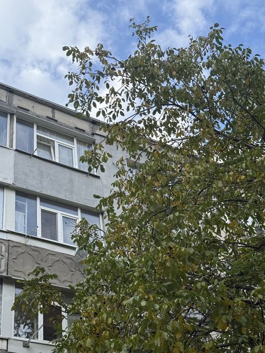 Квартира на вул. Центральна в Павлограді, ID 293034, фото №16