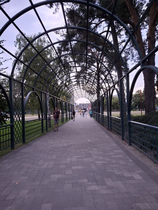 Квартира на вул. Шевченка в Києві, ID 271567, фото №15