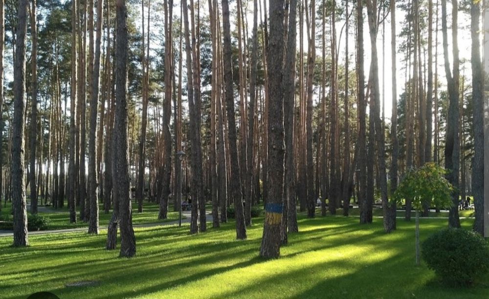 Квартира на вул. Шевченка в Києві, ID 271567, фото №19
