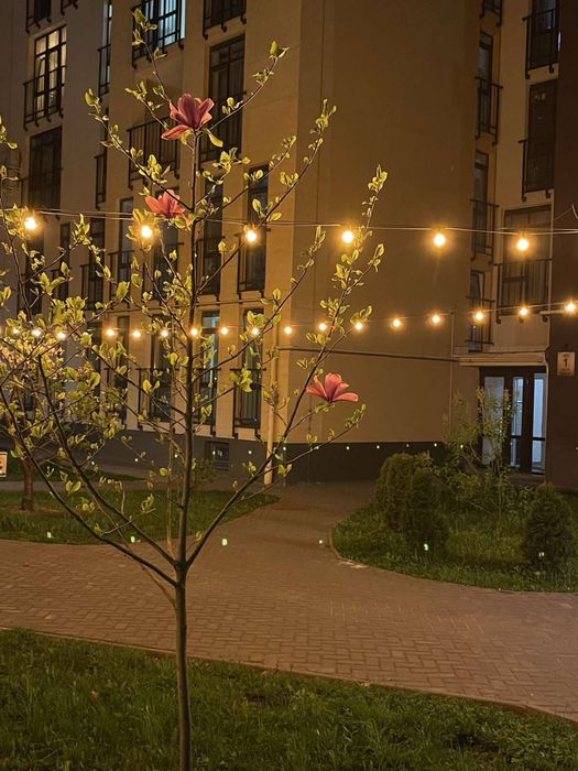 Квартира на ЖК Леополь Таун в Львові, ID 302151, фото №12