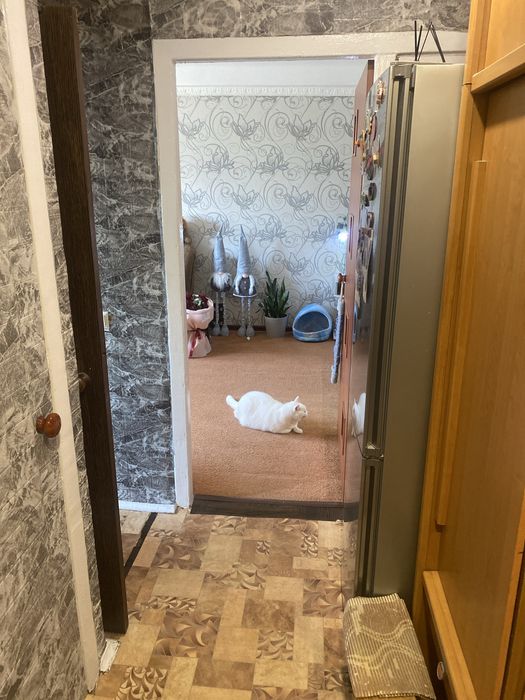 Квартира — Кам’янське, Дніпропетровська область в Дніпрі, ID 394226, фото №10