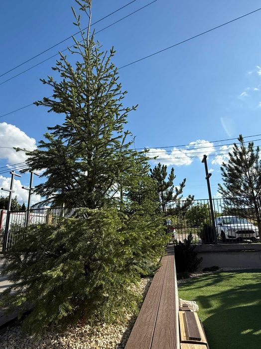 Квартира на Софіївська Борщагівка в Києві, ID 222873, фото №5