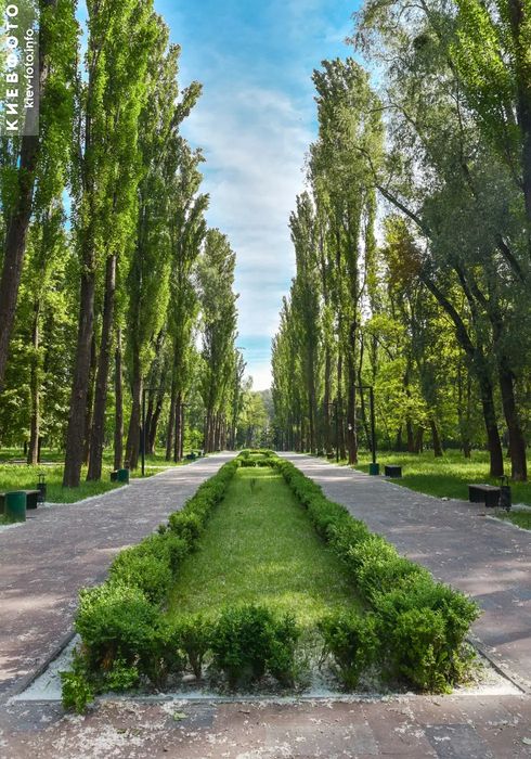 Квартира на Шевченківський в Києві, ID 254537, фото №11