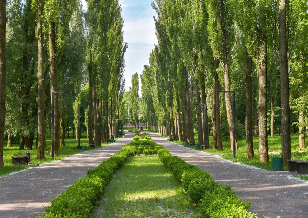 Квартира на Шевченківський в Києві, ID 254537, фото №10