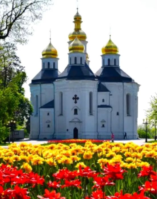 Квартира на вул. Кирпоноса в Чернігів, ID 271755, фото №3