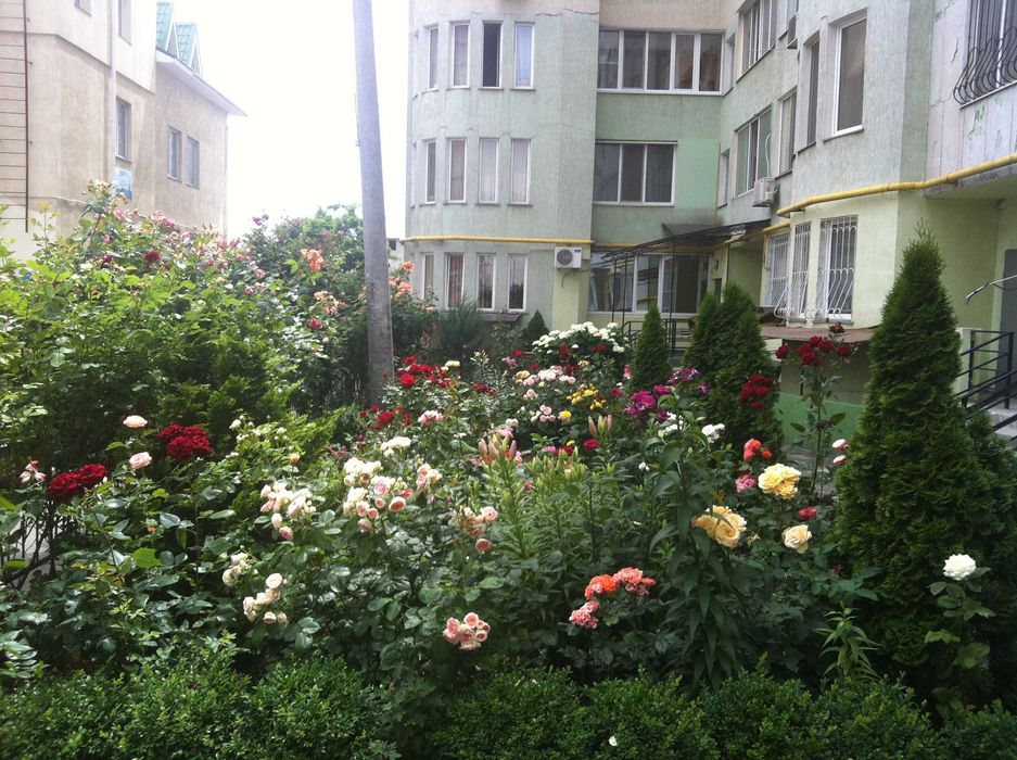 Квартира на вул. Тополева, 14/1 в Одесі, ID 376223, фото №21